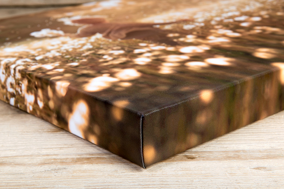 canvas